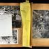 album n°485: "Tunis 1935. Léo 25-12-1935. Départ pour Kisantu. Le frère Gillet (Jésuite) botaniste près d'un jacquier. Dans le Kivu. Le parc Albert. 15-8-36 Costermansville. [...]"